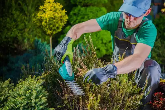 landscaping services Rockville Centre